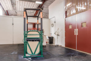 Green horse examination stocks on a rubber-matted floor in the equine treatment room in Glenwood Springs