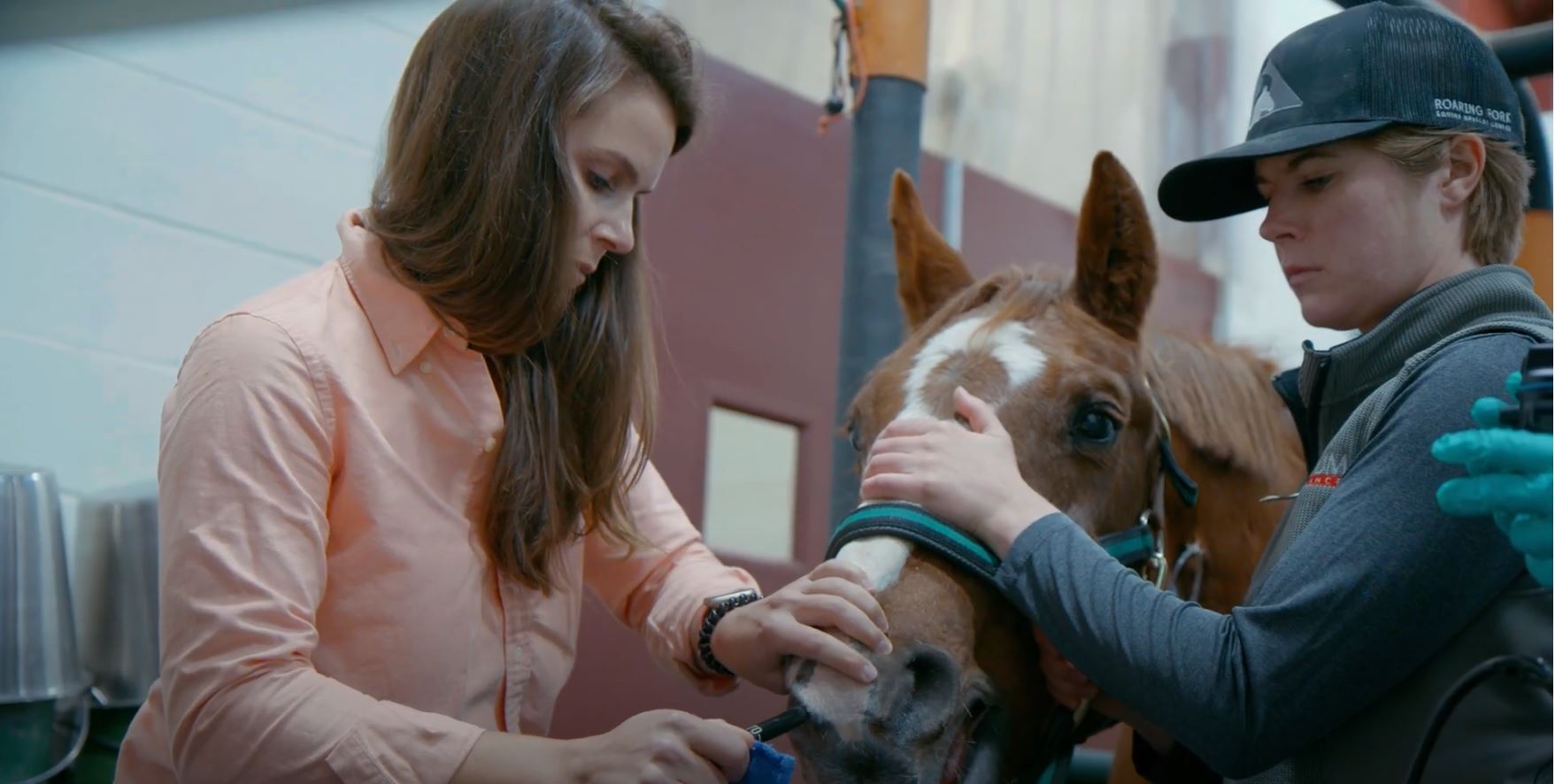 Dr. Kari Roaring Fork Horse Diagnostics