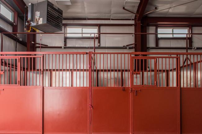 equine center 