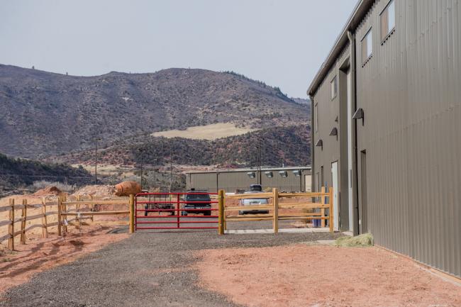 equine center 
