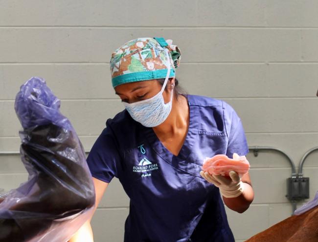 Veterinary Assistant Asia prepping for surgery