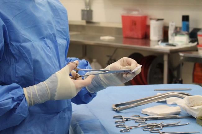 Dr. Lamb preparing her instruments for surgery